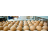 eggproduction.jpg