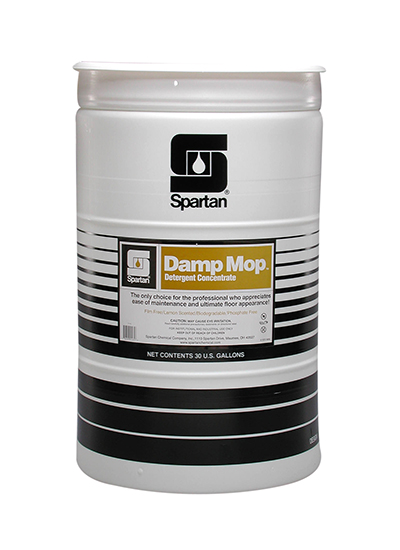 Damp Mop (301630)